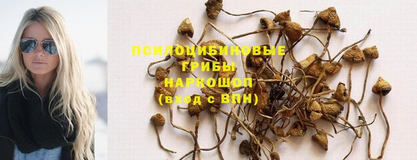 экстази Заводоуковск