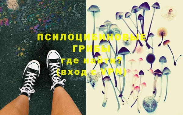 экстази Заводоуковск