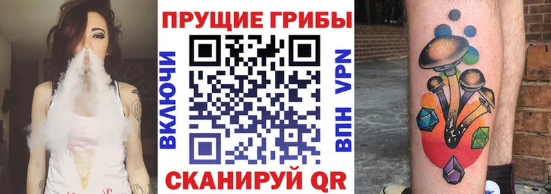 Псилоцибиновые грибы Psilocybe  Купить где  Бирск 